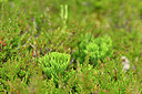 BUITEN BEELD Foto: 441085