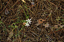 BUITEN BEELD Foto: 441086