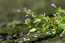 BUITEN BEELD Foto: 441087
