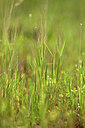 BUITEN BEELD Foto: 441088