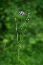 BUITEN BEELD Foto: 441089