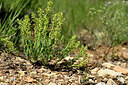 BUITEN BEELD Foto: 441107