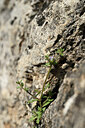 BUITEN BEELD Foto: 441109