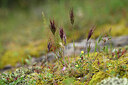 BUITEN BEELD Foto: 441110