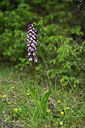 BUITEN BEELD Foto: 441112