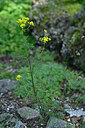 BUITEN BEELD Foto: 441117