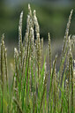 BUITEN BEELD Foto: 441123