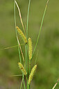 BUITEN BEELD Foto: 441127