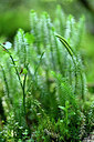 BUITEN BEELD Foto: 441129