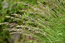 BUITEN BEELD Foto: 441131