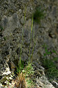 BUITEN BEELD Foto: 441132