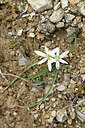 BUITEN BEELD Foto: 441133