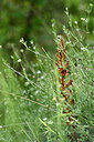 BUITEN BEELD Foto: 441135