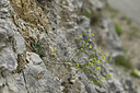 BUITEN BEELD Foto: 441137