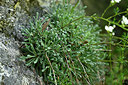 BUITEN BEELD Foto: 441139