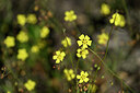 BUITEN BEELD Foto: 441141