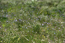 BUITEN BEELD Foto: 441145