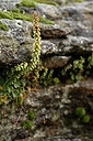 BUITEN BEELD Foto: 441147