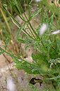BUITEN BEELD Foto: 441151