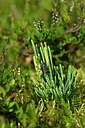 BUITEN BEELD Foto: 441153