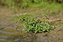 BUITEN BEELD Foto: 441164