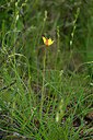 BUITEN BEELD Foto: 441171