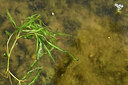 BUITEN BEELD Foto: 441172