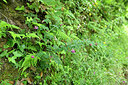 BUITEN BEELD Foto: 441177
