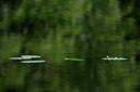 BUITEN BEELD Foto: 441180