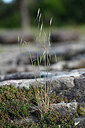 BUITEN BEELD Foto: 441185