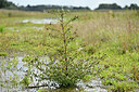 BUITEN BEELD Foto: 441188