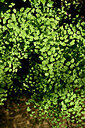BUITEN BEELD Foto: 441197