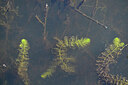BUITEN BEELD Foto: 441201