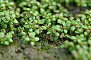 BUITEN BEELD Foto: 441208