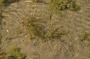 BUITEN BEELD Foto: 441210