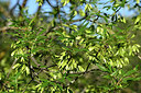 BUITEN BEELD Foto: 441211