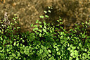 BUITEN BEELD Foto: 441218