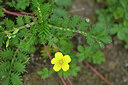 BUITEN BEELD Foto: 441220