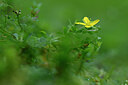 BUITEN BEELD Foto: 441221