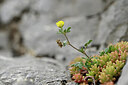 BUITEN BEELD Foto: 441223