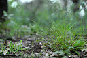 BUITEN BEELD Foto: 441224