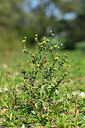 BUITEN BEELD Foto: 441225