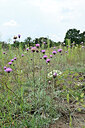 BUITEN BEELD Foto: 441227
