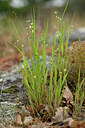 BUITEN BEELD Foto: 441228