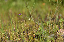 BUITEN BEELD Foto: 441231