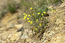 BUITEN BEELD Foto: 441236