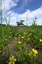 BUITEN BEELD Foto: 441238