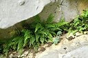 BUITEN BEELD Foto: 441239