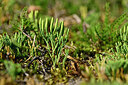 BUITEN BEELD Foto: 441243
