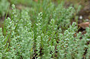 BUITEN BEELD Foto: 441245